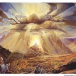 mtsinai3