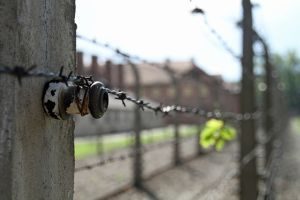 auschwitz-971904_640